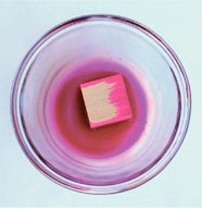 Иллюстрация к книге — Дома весело! Развивающие игры для самых маленьких [i_264.jpg]