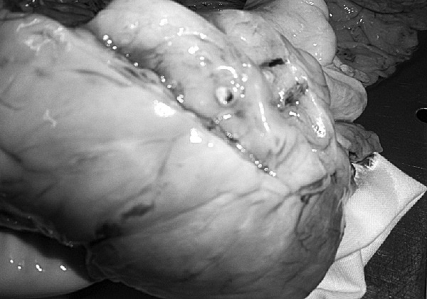 Иллюстрация к книге — Маломобильный пациент [i_004.jpg]