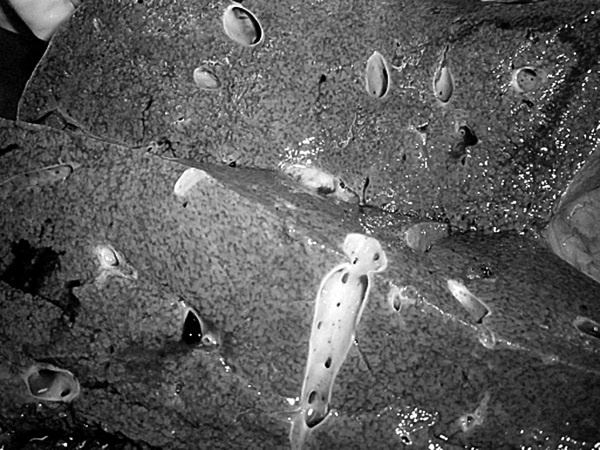 Иллюстрация к книге — Маломобильный пациент [i_006.jpg]