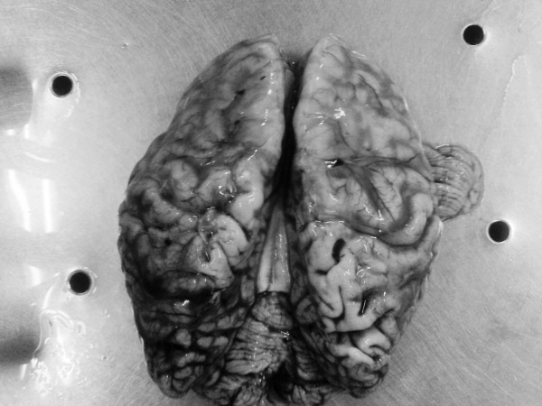 Иллюстрация к книге — Маломобильный пациент [i_037.jpg]