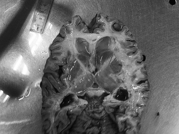 Иллюстрация к книге — Маломобильный пациент [i_038.jpg]