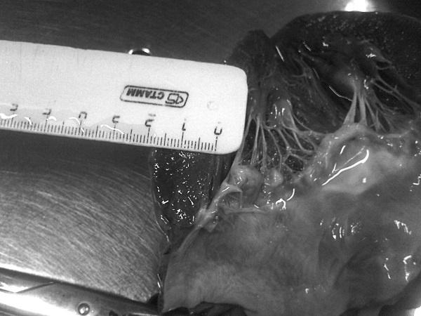 Иллюстрация к книге — Маломобильный пациент [i_039.jpg]