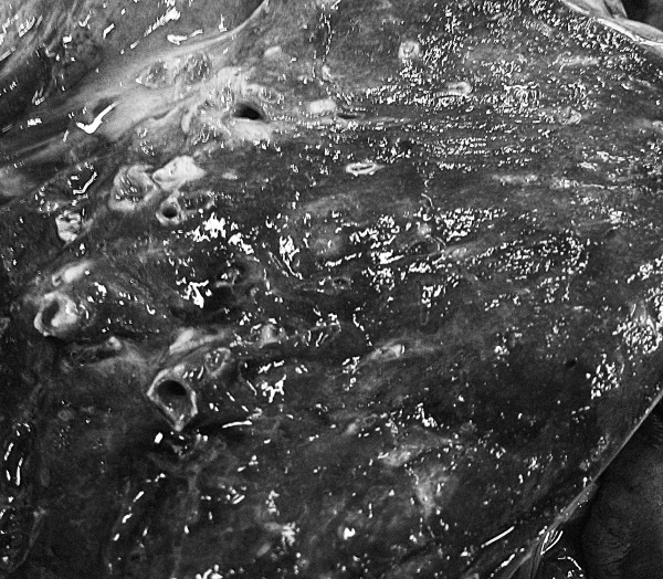 Иллюстрация к книге — Маломобильный пациент [i_046.jpg]