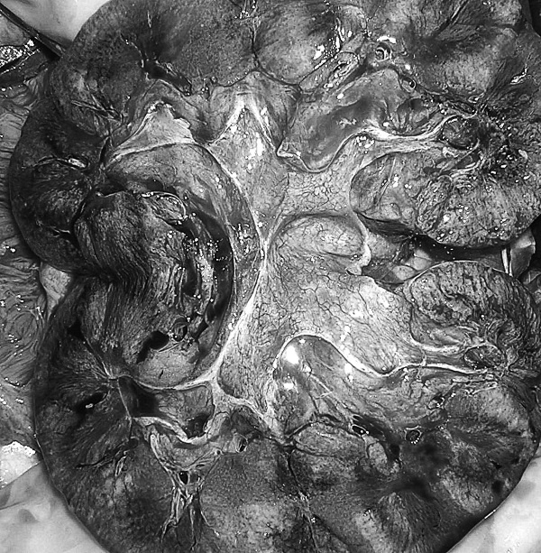 Иллюстрация к книге — Маломобильный пациент [i_047.jpg]