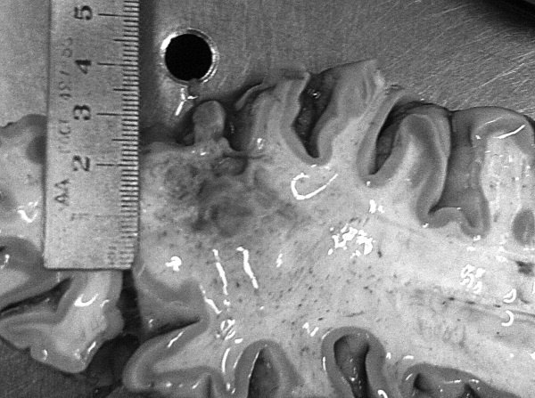 Иллюстрация к книге — Маломобильный пациент [i_054.jpg]