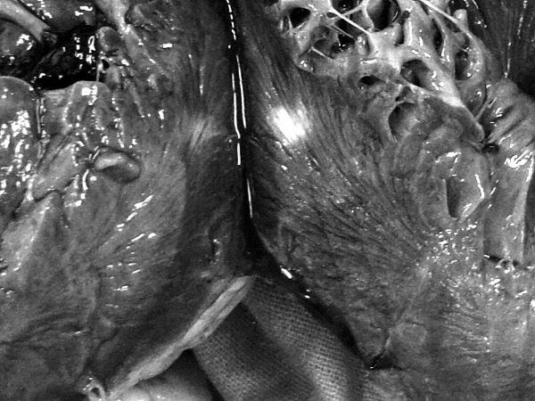 Иллюстрация к книге — Маломобильный пациент [i_055.jpg]