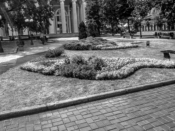 Иллюстрация к книге — Война маленького человека [i_013.jpg]