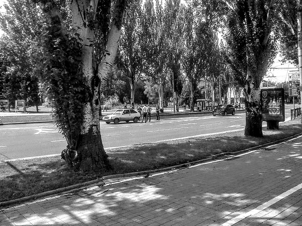 Иллюстрация к книге — Война маленького человека [i_016.jpg]