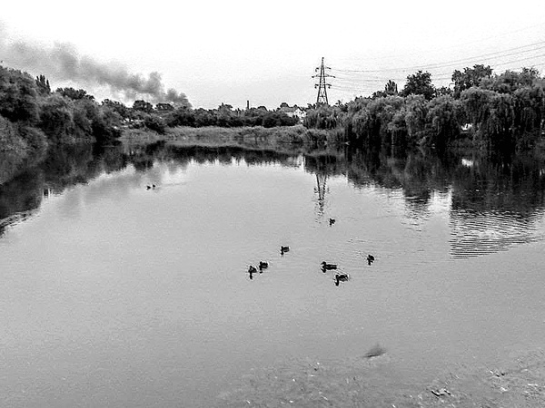 Иллюстрация к книге — Война маленького человека [i_024.jpg]