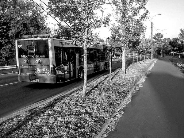 Иллюстрация к книге — Война маленького человека [i_027.jpg]