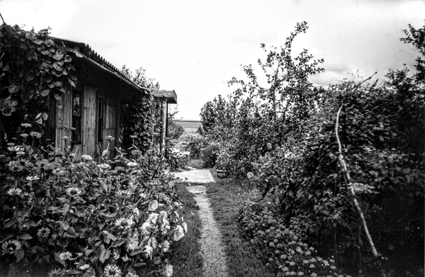 Иллюстрация к книге — Война маленького человека [i_028.jpg]