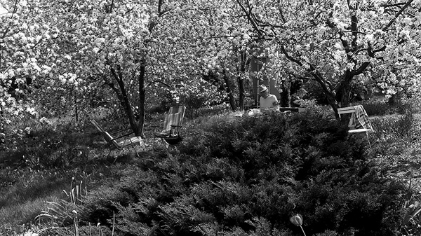 Иллюстрация к книге — Война маленького человека [i_029.jpg]