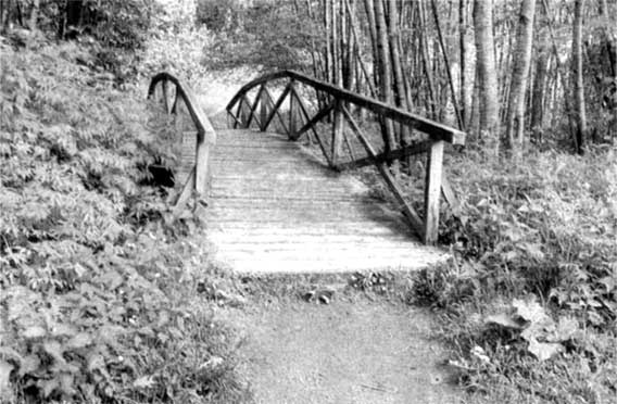 Иллюстрация к книге — Островский в Берендеевке [i_002.jpg]