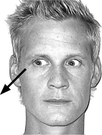 Иллюстрация к книге — Думай так, как я хочу [i_007.jpg]