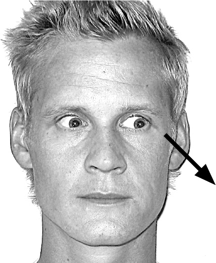 Иллюстрация к книге — Думай так, как я хочу [i_008.jpg]