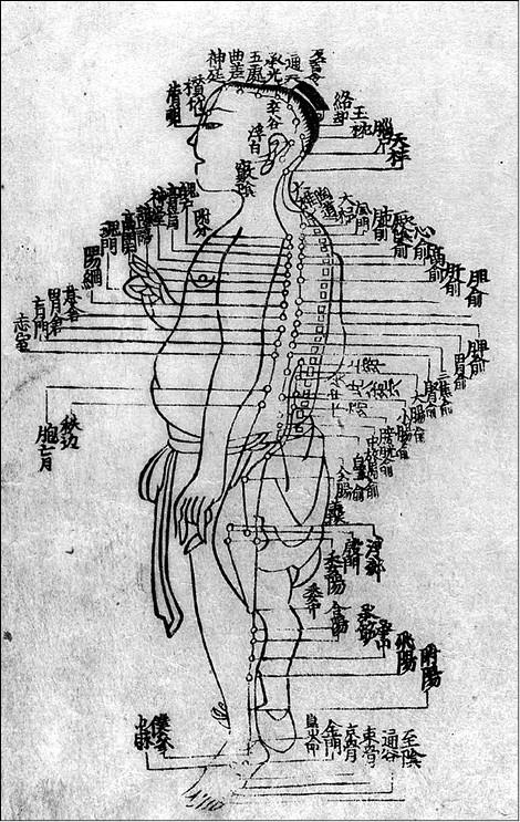 Иллюстрация к книге — 100 великих тайн медицины [i_006.jpg]