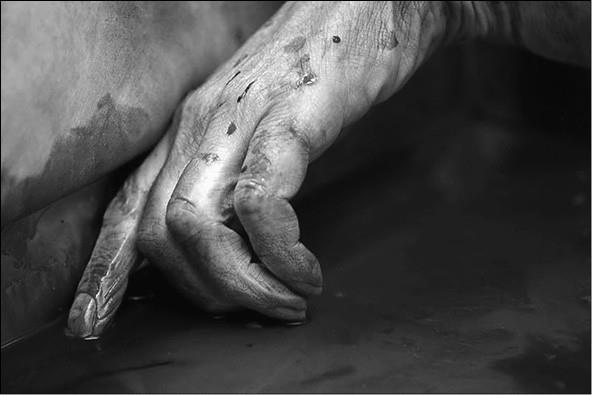 Иллюстрация к книге — 100 великих тайн медицины [i_031.jpg]