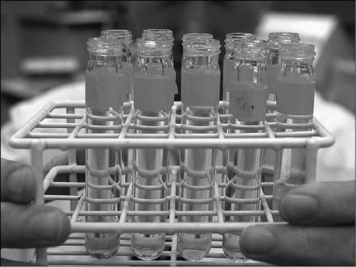 Иллюстрация к книге — 100 великих тайн медицины [i_090.jpg]