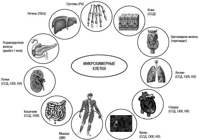 Иллюстрация к книге — 100 великих тайн медицины [i_093.jpg]