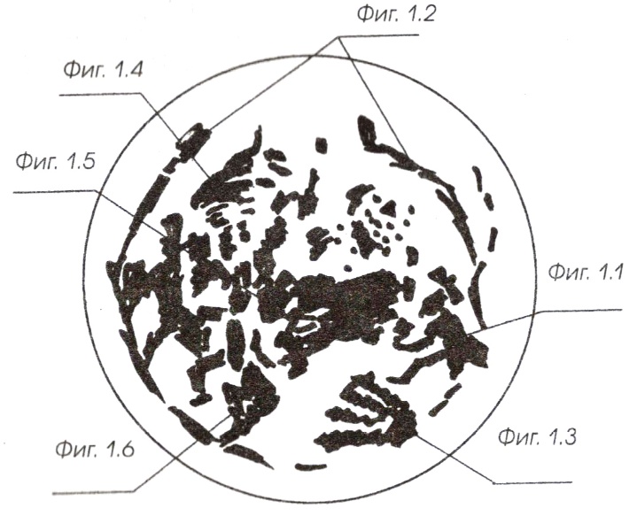 Иллюстрация к книге — Карманный Оракул. Парные события во сне и наяву [i_001.jpg]