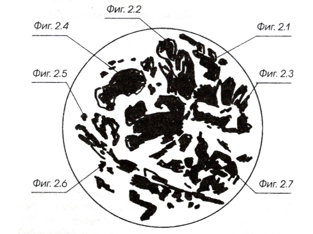 Иллюстрация к книге — Карманный Оракул. Парные события во сне и наяву [i_008.jpg]