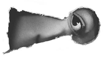 Иллюстрация к книге — Жизнь: вид сбоку [i_001.jpg]