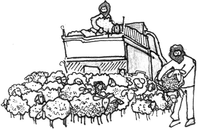 Иллюстрация к книге — Жили-были-видели… [i_007.jpg]