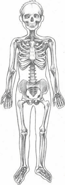 Иллюстрация к книге — Детская и подростковая релаксационная терапия. Практикум [_14.jpg]