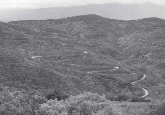 Иллюстрация к книге — Метафорические карты. Руководство для психолога [_09.jpg]