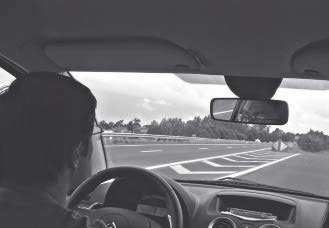 Иллюстрация к книге — Метафорические карты. Руководство для психолога [_26.jpg]