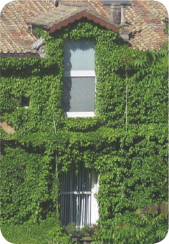 Иллюстрация к книге — Метафорические карты. Руководство для психолога [_47.jpg]