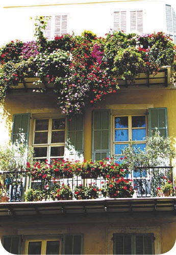 Иллюстрация к книге — Метафорические карты. Руководство для психолога [_52.jpg]