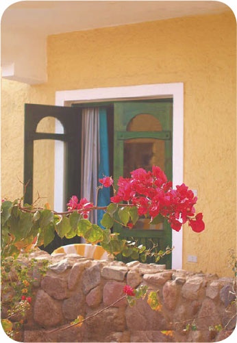 Иллюстрация к книге — Метафорические карты. Руководство для психолога [_53.jpg]