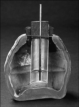 Иллюстрация к книге — 100 великих курьезов истории [i_003.jpg]