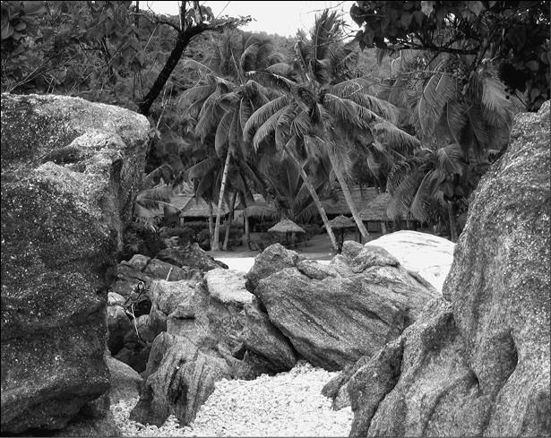 Иллюстрация к книге — 100 великих курьезов истории [i_054.jpg]