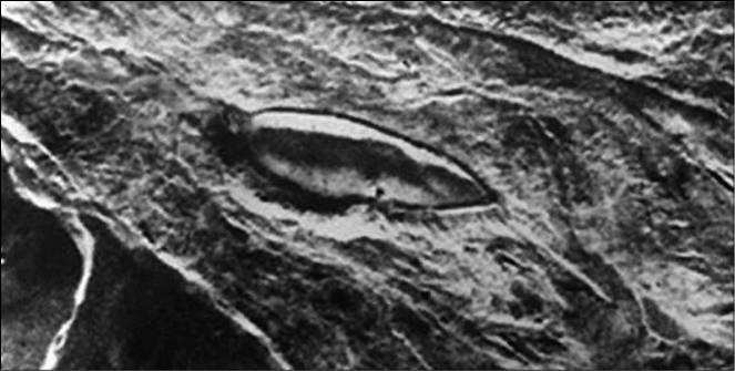 Иллюстрация к книге — 100 великих тайн Библии [i_023.jpg]