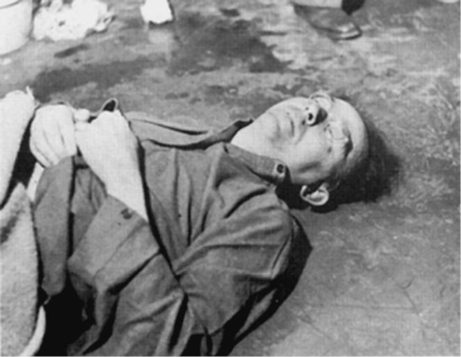 Иллюстрация к книге — 100 великих тайн Второй мировой [i_088.jpg]