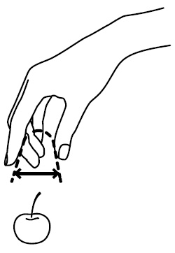 Иллюстрация к книге — Пространство мышления. Соображения [i_003.jpg]