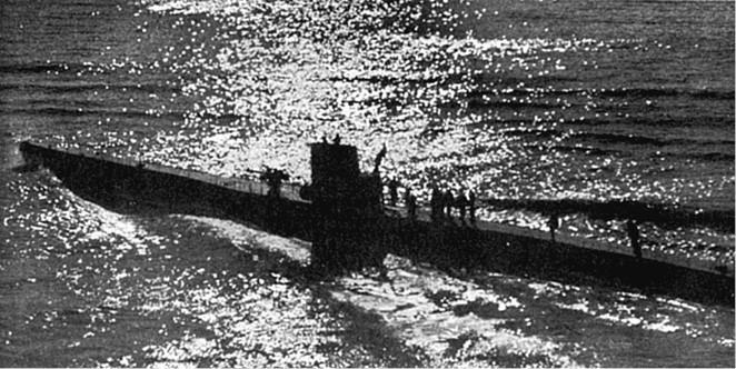 Иллюстрация к книге — 100 великих загадок современности [i_033.jpg]