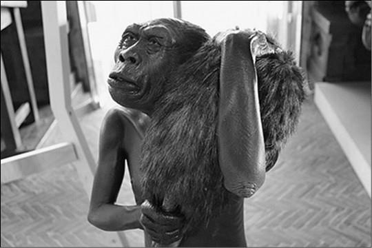 Иллюстрация к книге — 100 великих заблуждений [i_047.jpg]