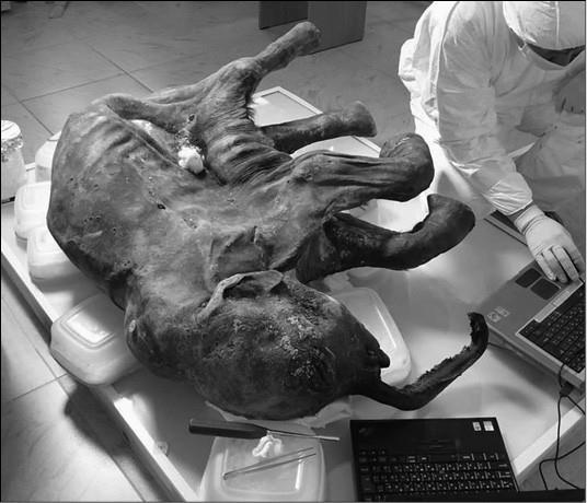 Иллюстрация к книге — 100 великих заблуждений [i_052.jpg]