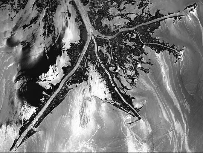 Иллюстрация к книге — 100 великих тайн океана [_13.jpg]