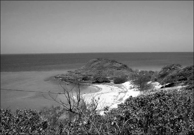 Иллюстрация к книге — 100 великих тайн океана [_14.jpg]