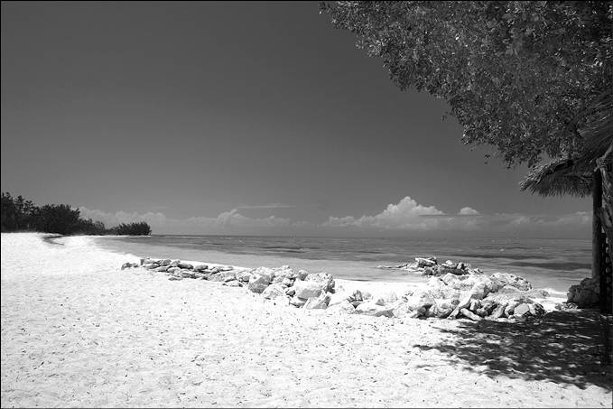 Иллюстрация к книге — 100 великих тайн океана [_34.jpg]