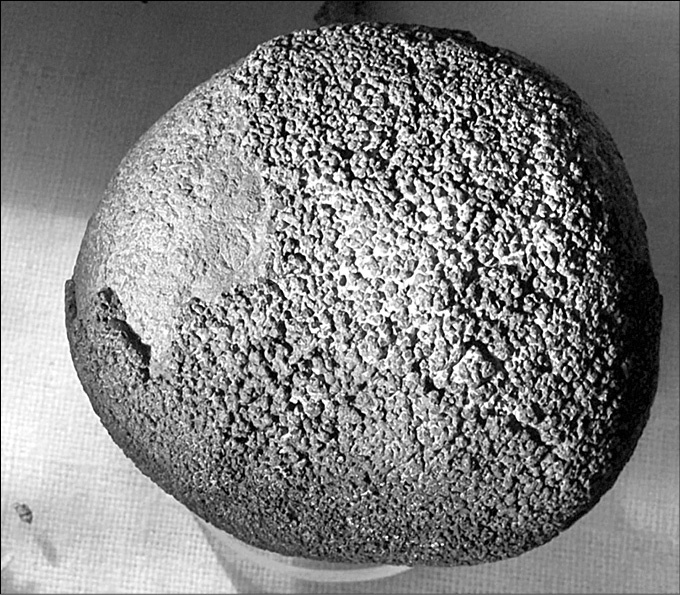 Иллюстрация к книге — 100 великих тайн океана [_35.jpg]