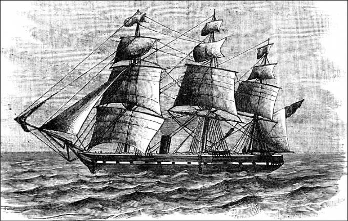 Иллюстрация к книге — 100 великих тайн океана [_38.jpg]