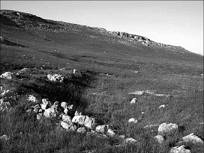 Иллюстрация к книге — 100 великих тайн океана [_41.jpg]