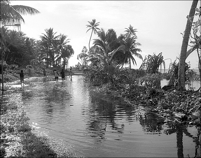 Иллюстрация к книге — 100 великих тайн океана [_65.jpg]