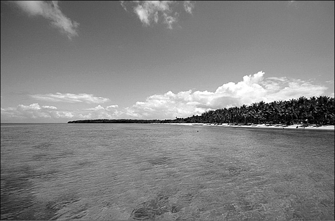 Иллюстрация к книге — 100 великих тайн океана [_83.jpg]