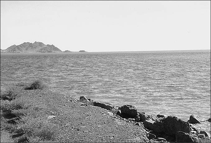 Иллюстрация к книге — 100 великих тайн океана [_88.jpg]